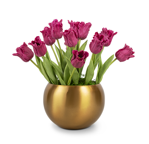 ColorClipping for Clipping Path