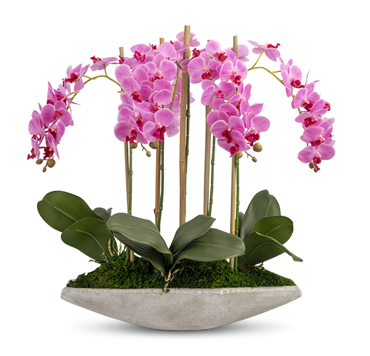 Accuracy. Speed. Satisfaction.